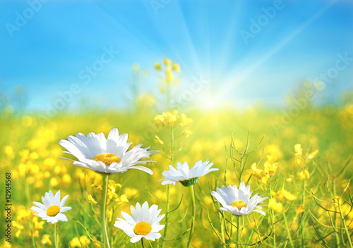 Foto: Perfect day Perfect day
