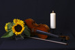 Stillleben mit Violine
