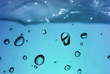eau