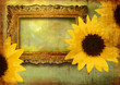 vintage background with frame and sunflowers