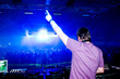 Dj at the concert