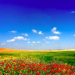 landscape view