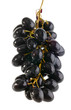 wet grape on white