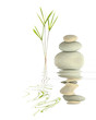 Zen Garden Tranquility