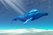 WHALES