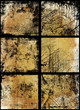 Great for textures and backgrounds for your projects