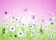 Spring meadow beautiful Spring meadow beautiful