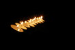 romantic candle light