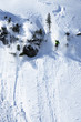 Free ride in powder