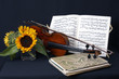 Stillleben mit Violine und Noten