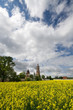 Years landscape with church.