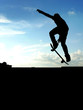 Skateboarder