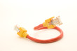 Network cable red and yellow Network cable red and yellow