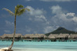 tropic island