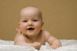 Baby-Portrait