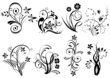 Floral elements for graphic design