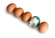 eggs