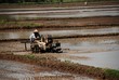paddy field and plough machine in the countryside