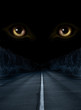 Horror in night