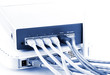 Router/Ethernet Switch Router/Ethernet Switch