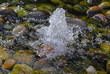 spring fountain