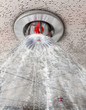 Illustration: fire sprinkling system at work fire sprinkling system at work