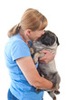 Mature Lady Holding A Pug Dog