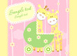 Baby arrival announcement card