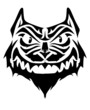 Angry Cat