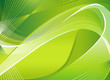 Green ecological background Green ecological background