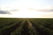 Video: Sunset: Time Lapse SD 720x480 Sunset: Time Lapse SD 720x480