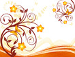 Orange floreal background