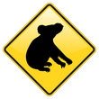 Koala warning sign with glossy effect Koala warning sign with glossy effect