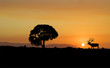 Elk Silhouette
