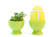 easter egg and cress isolated on white