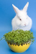 Happy Easter