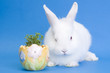 Happy Easter