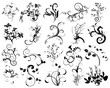 Florale Designelemente im Vektorformat
