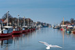 Fischkutter im Hafen