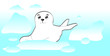 Seal pup