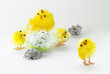 Easter Chickens