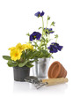 gardening