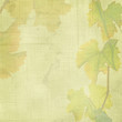 vine background