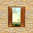 window