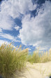 Dunes near the sea with windy skies and clouds