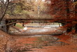 Foot bridge