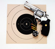 Magnum Revolver and target