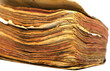 Vieux livre