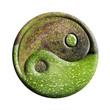 yin-yang bio