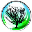 Globe tree
